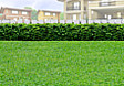 Lot for Sale in Alfonso, Cavite (Near Tagaytay)